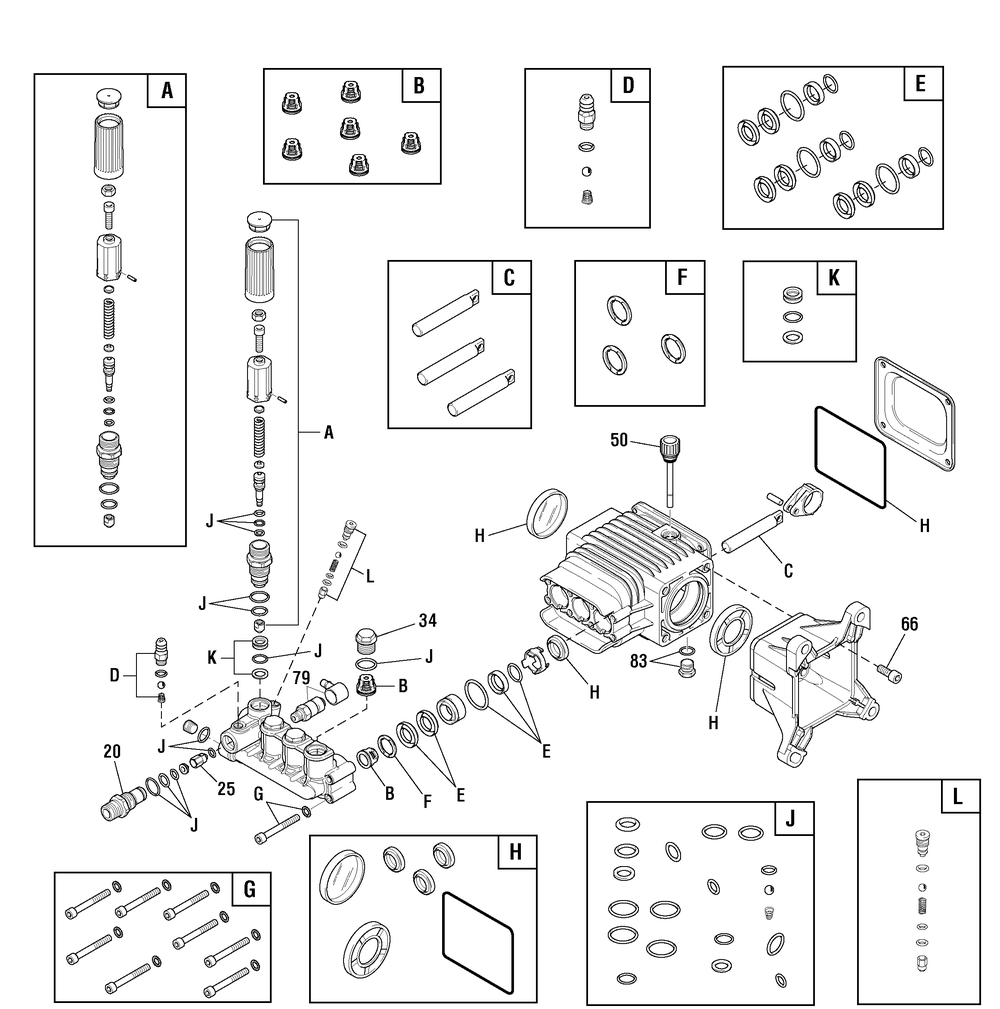 Pump (80014824) Diagram and Parts List for 020596-03  Briggs and Stratton Pressure Washer